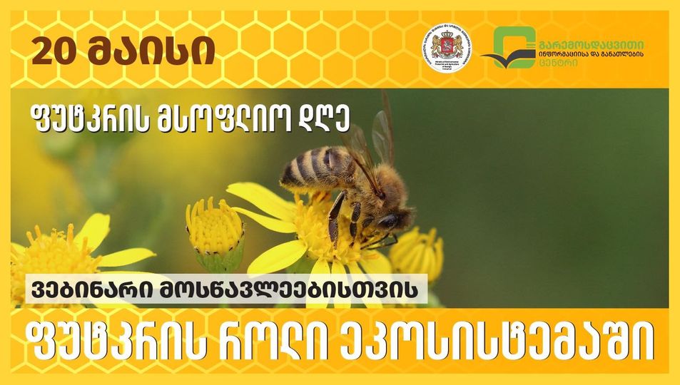 ვებინარი „ფუტკრის როლი ეკოსისტემაში“