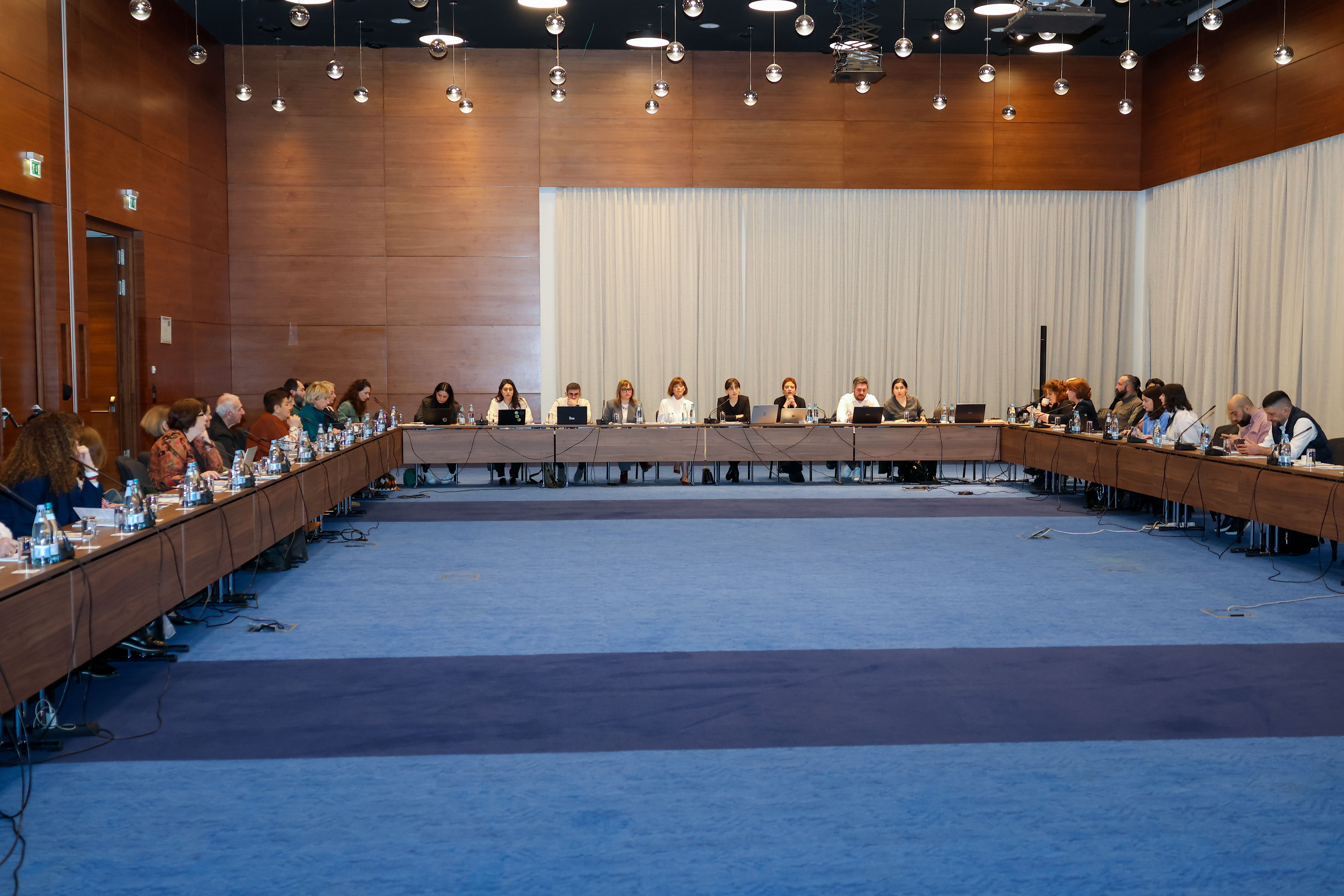 „ბიომრავალფეროვნების ეროვნული სტრატეგიისა და სამოქმედო გეგმის (NBSAP) მომზადების ხელშეწყობა - ბიომრავალფეროვნების გლობალური ჩარჩო - ადრეული ქმედების მხარდაჭერა“ დასკვნითი შეხდრა გაიმართა