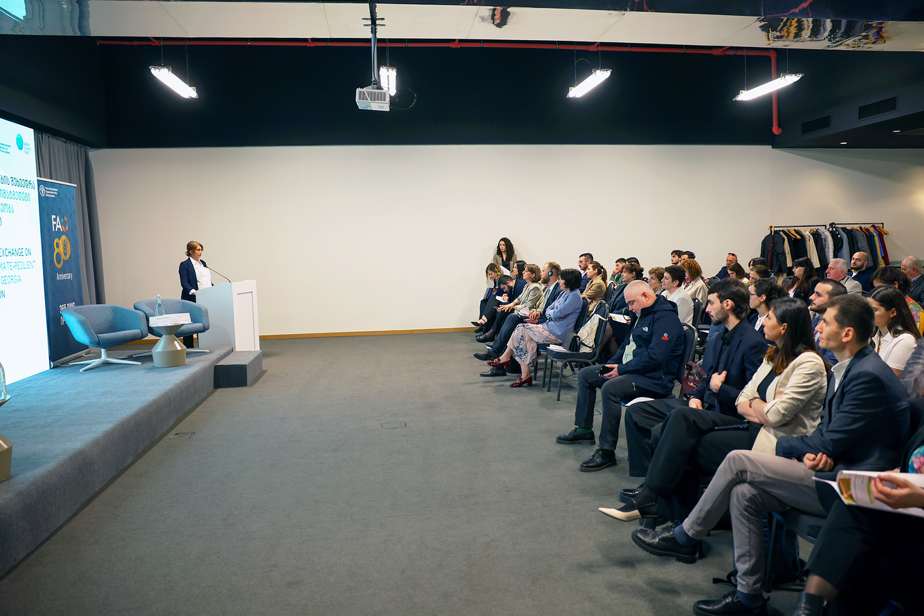 იდეების კონკურსის გამარჯვებულები გამოვლინდნენ