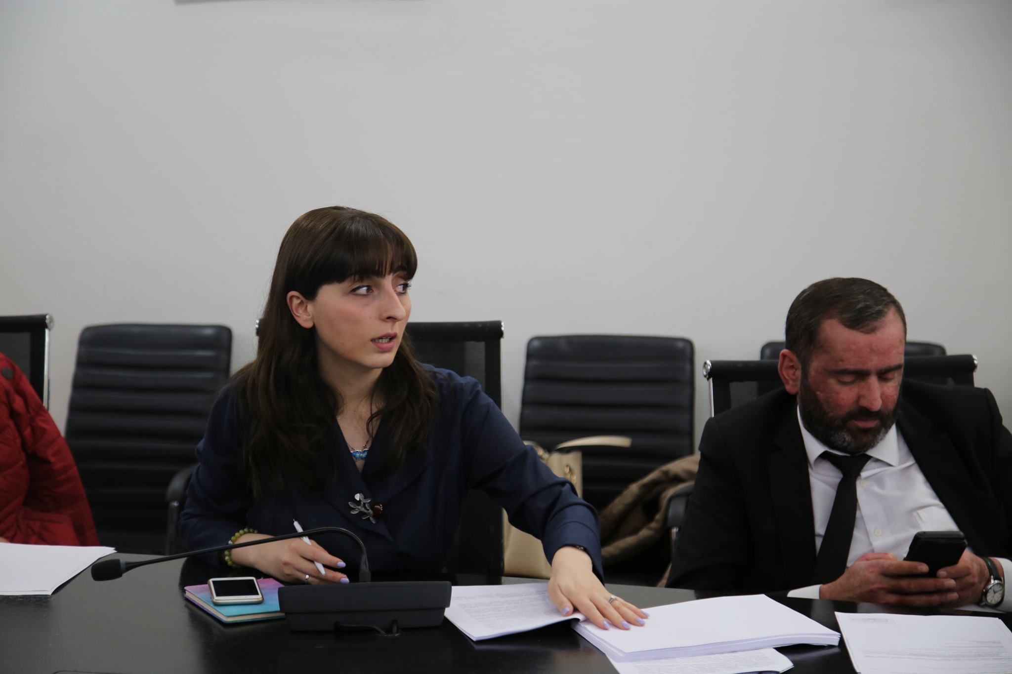 Public hearings on the draft law of Georgia on biodiversity have ended