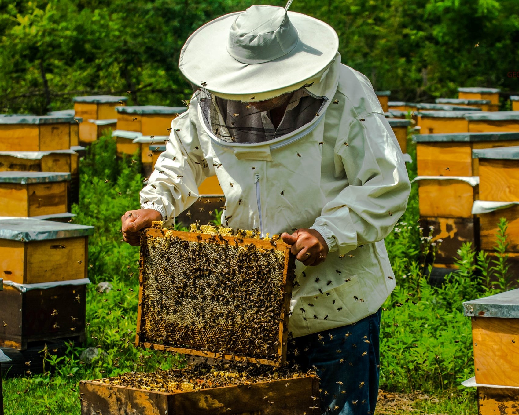 The second stage of beekeeping is beginning
