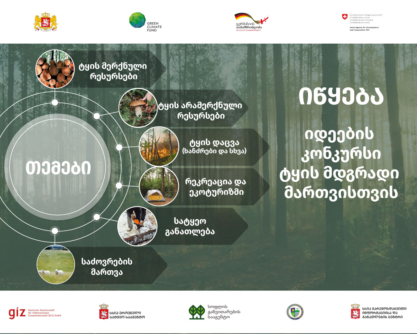 An idea contest for sustainable forest management begins 