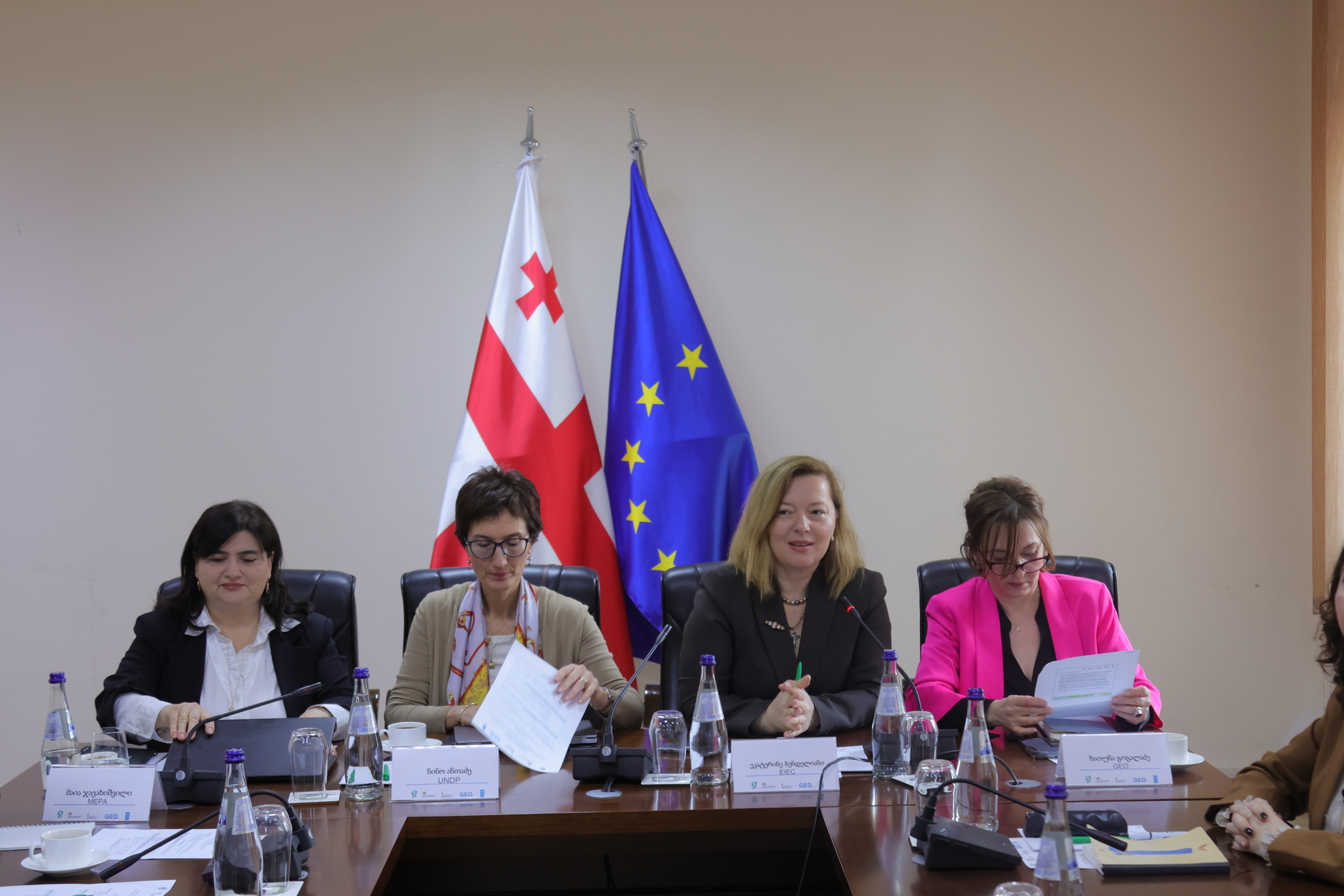Another consultation meeting was held on the preparation of the Fifth National Report and the First Biennial Transparency Report (5NC/1BTR) of Georgia