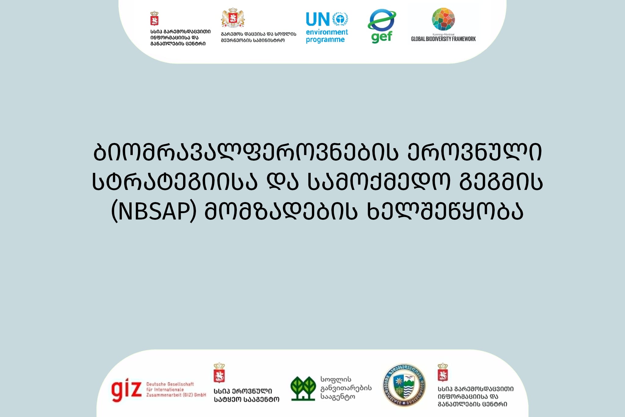 ბიომრავალფეროვნების ეროვნული სტრატეგიისა და სამოქმედო გეგმის (NBSAP) მომზადების ხელშეწყობა