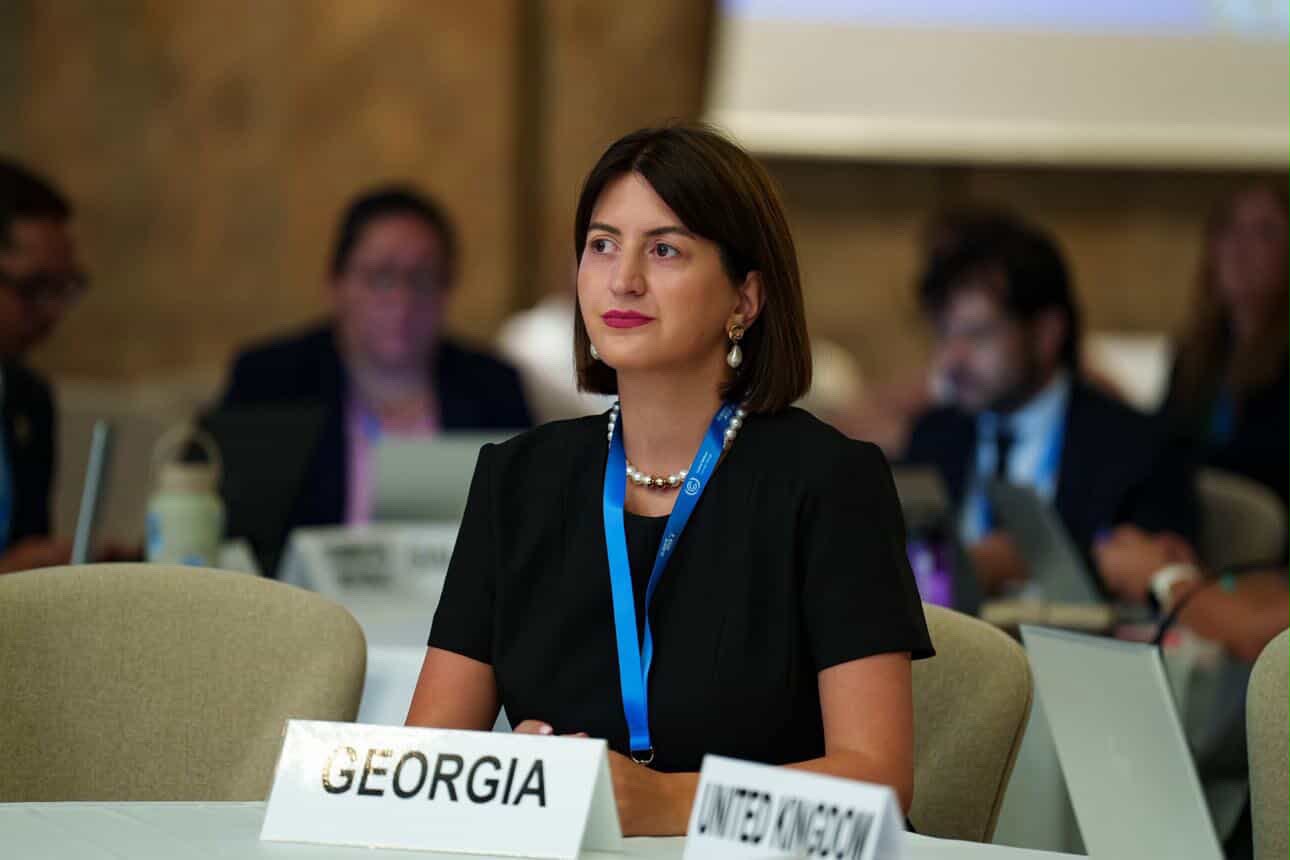 საქართველოს წარმომადგენელი UNFCCC-ის Climate Week-ის ფარგლებში გამართულ Adaptation Forum-ს დაესწრო