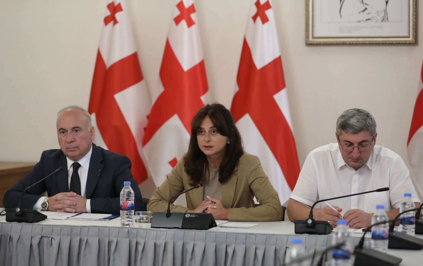 გარემოს დაცვისა და ბუნებრივი რესურსების კომიტეტის ბიზნეს სექტორთან მომუშავე სამუშაო ჯგუფის ფარგლებში მწარმოებლის გაფართოებული ვალდებულების საკითხზე შეხვედრა გაიმართა