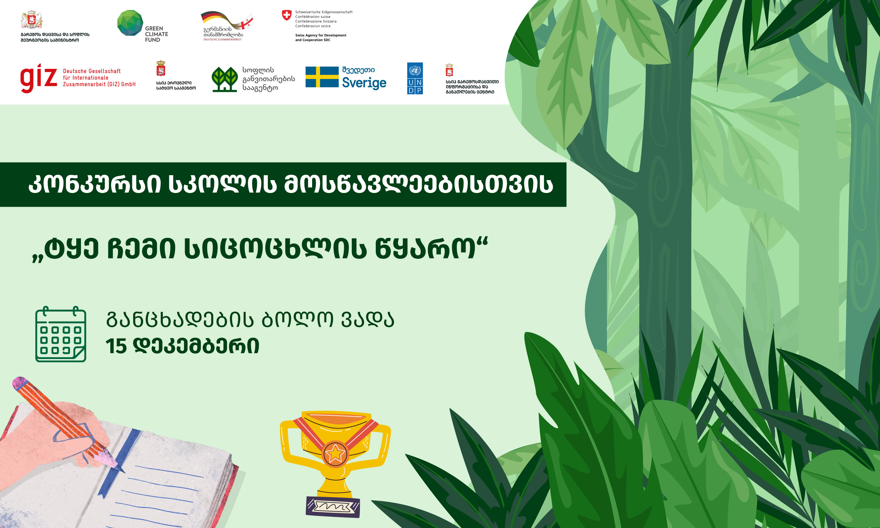 კონკურსი სკოლის მოსწავლეებისთვის! | „ტყე ჩემი სიცოცხლის წყარო”